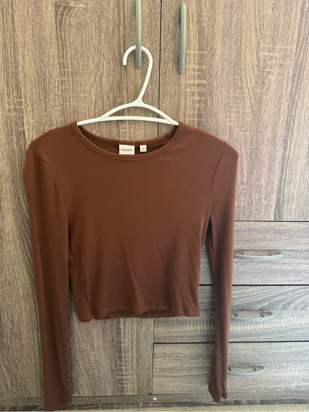 Aritzia Sunday Best Brown Long-Sleeve Tee